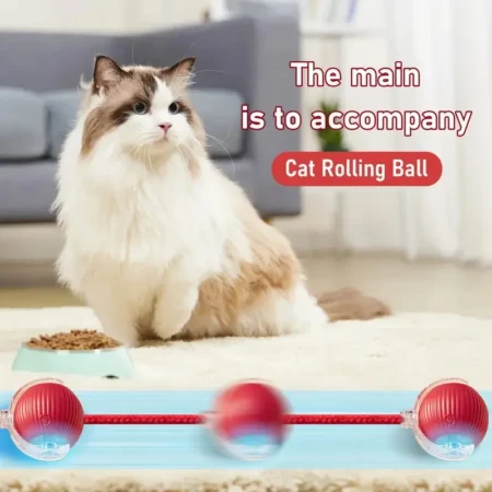 Cat Interactive Ball Toy, Automatic Rolling Ball with Tail, Rechargeable Smart Pet Interactive Toy, Intelligent Mouse for Cat