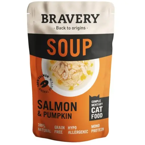 Soupe-saumon-510x511