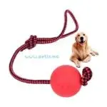 Balle de dressage de chien en laisse – Jouet d’exercice et de récompense