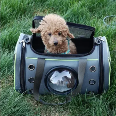 Sac de transport pour chats et chiens