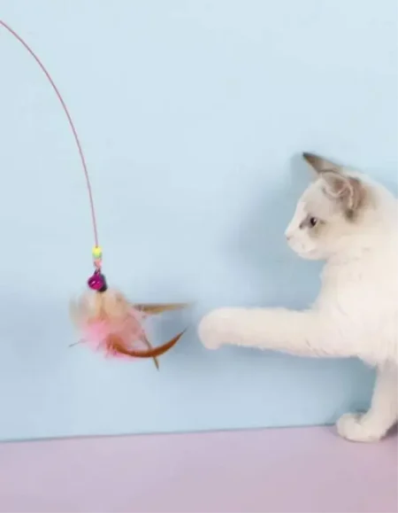 Jeux de plume pour chat