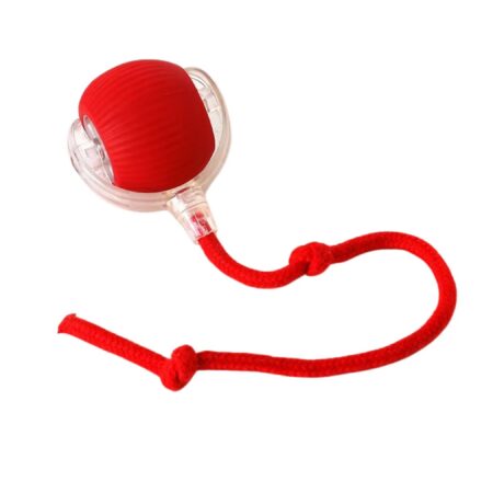 Balle Interactive jouet pour Chats et Chiens – Balle Intelligente